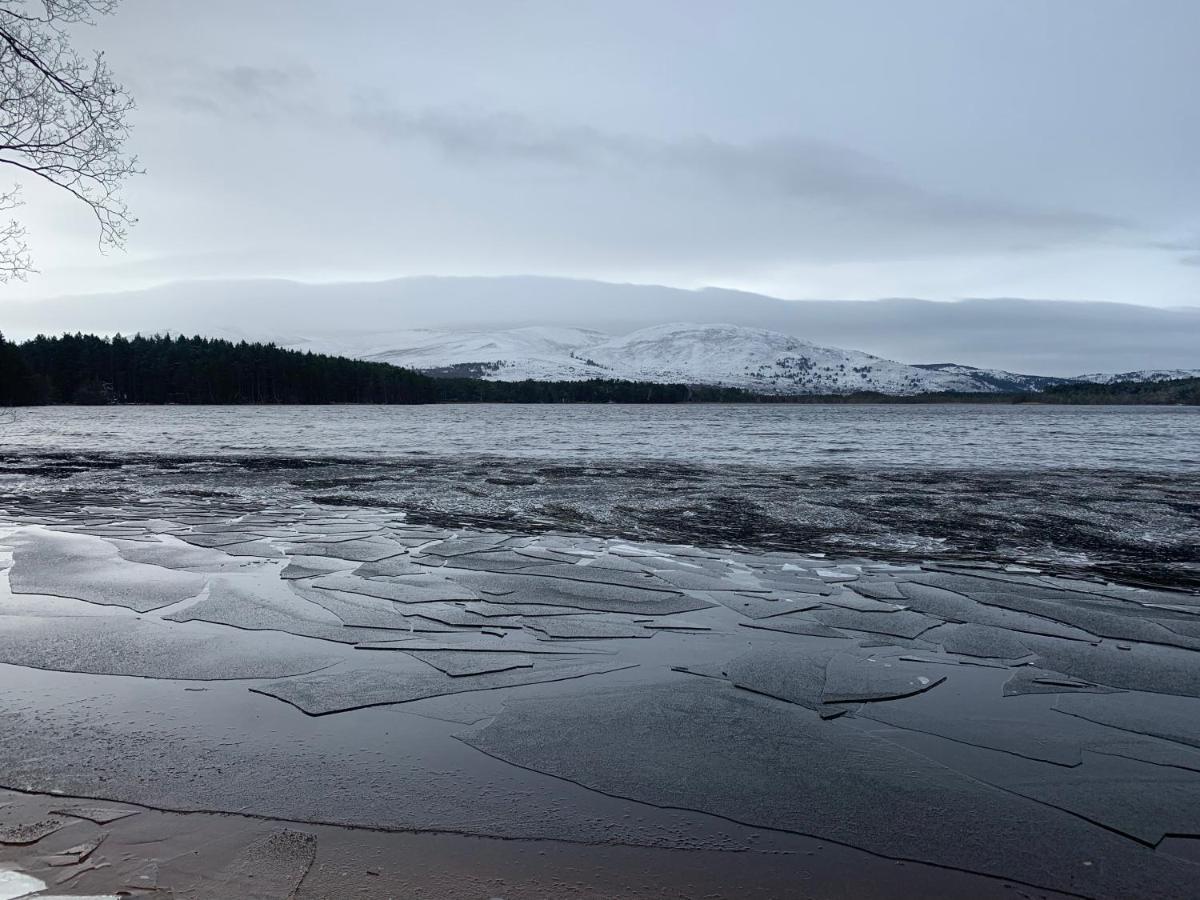 The One - Chalet In The Cairngorms Villa Boat of Garten Exterior foto